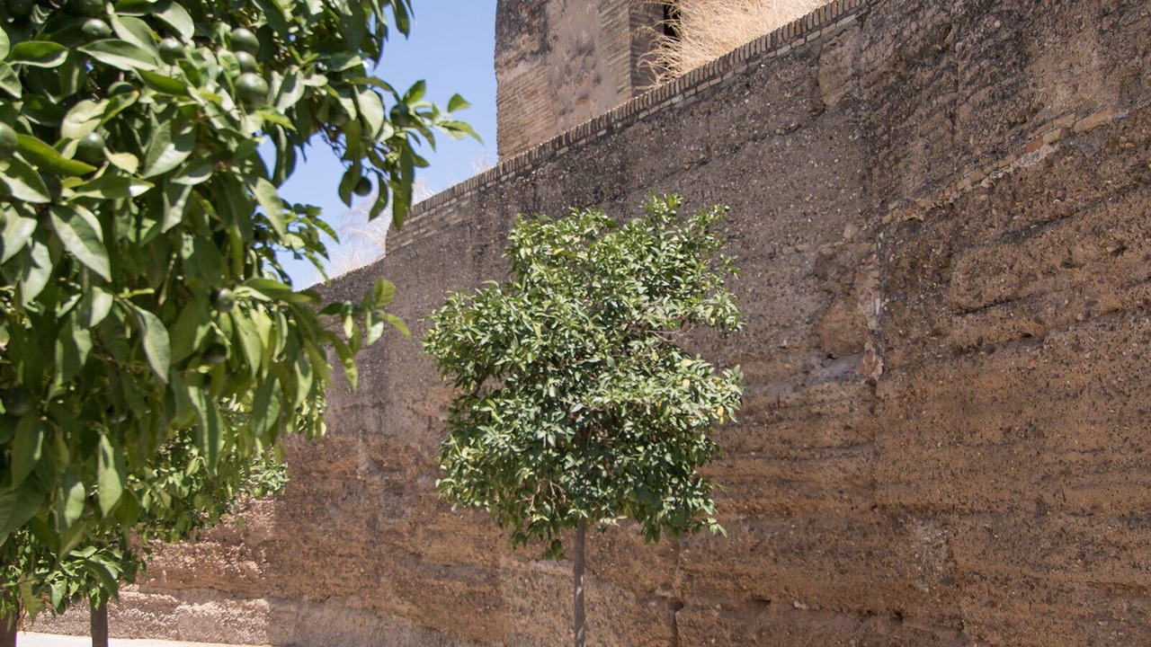 Photo of Others in San Gil