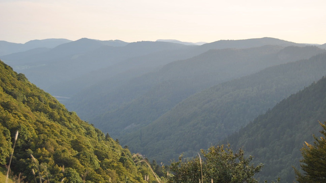 Photo of Outdoor in La Bresse