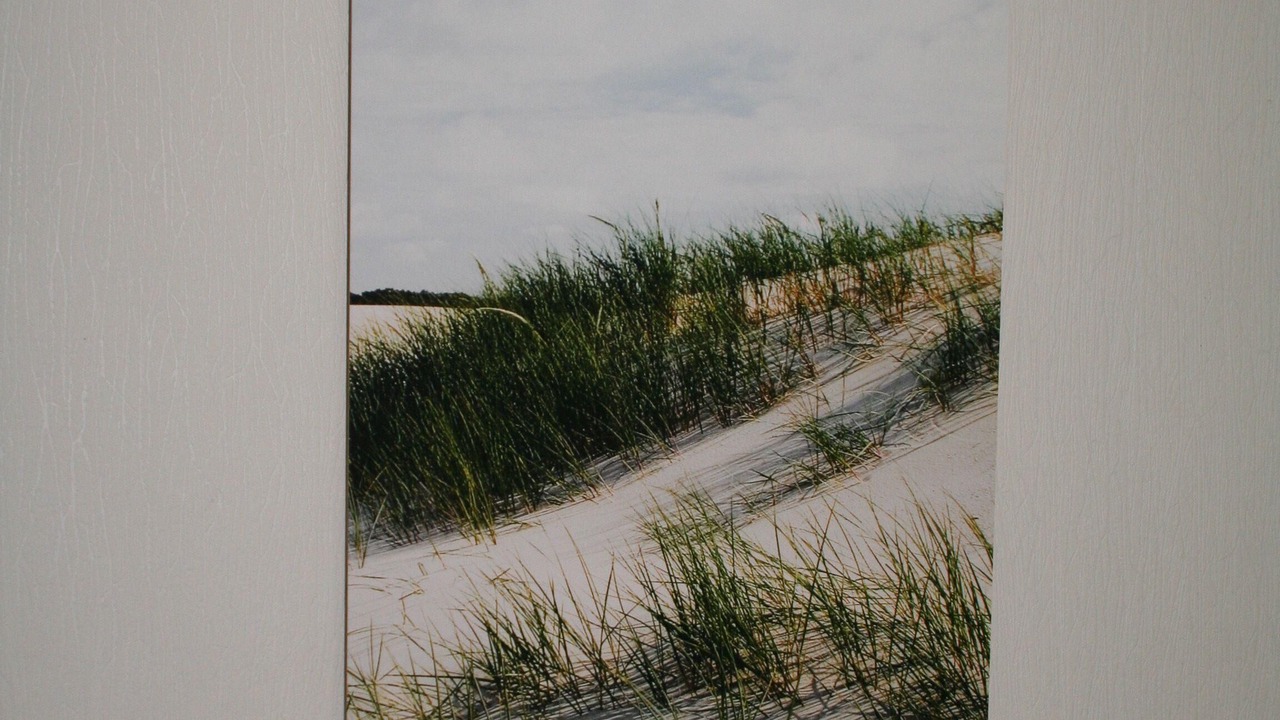 Photo of Others in Suderende