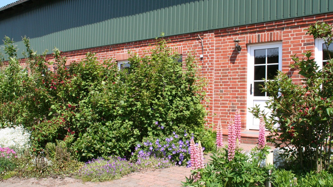 Photo of Outdoor in Suderende