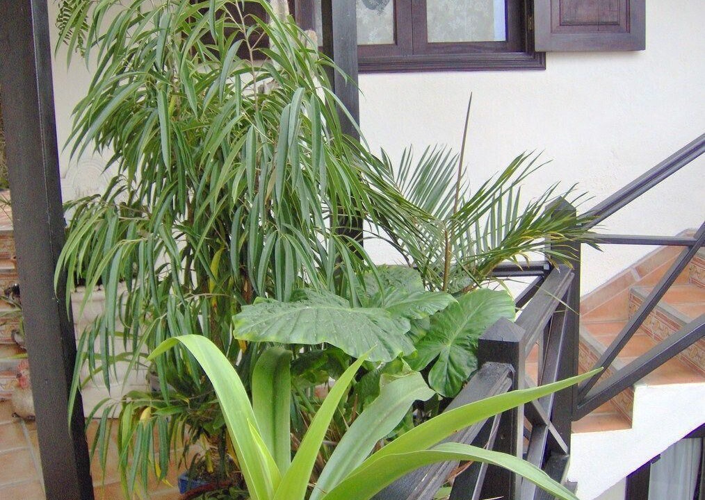 Photo of Outdoor in El Guincho