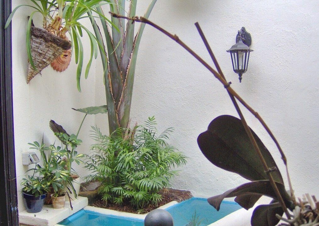 Photo of Outdoor in El Guincho