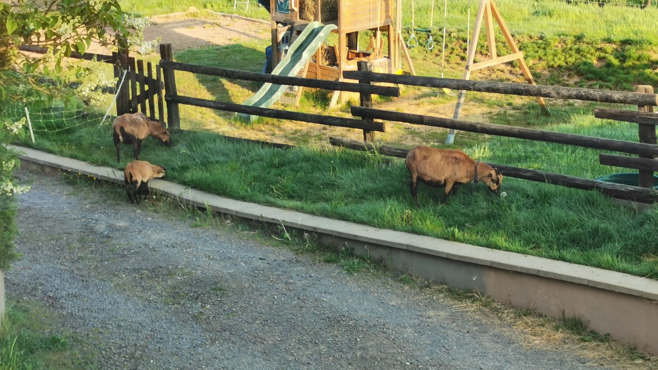 Photo of Outdoor in Remomeix