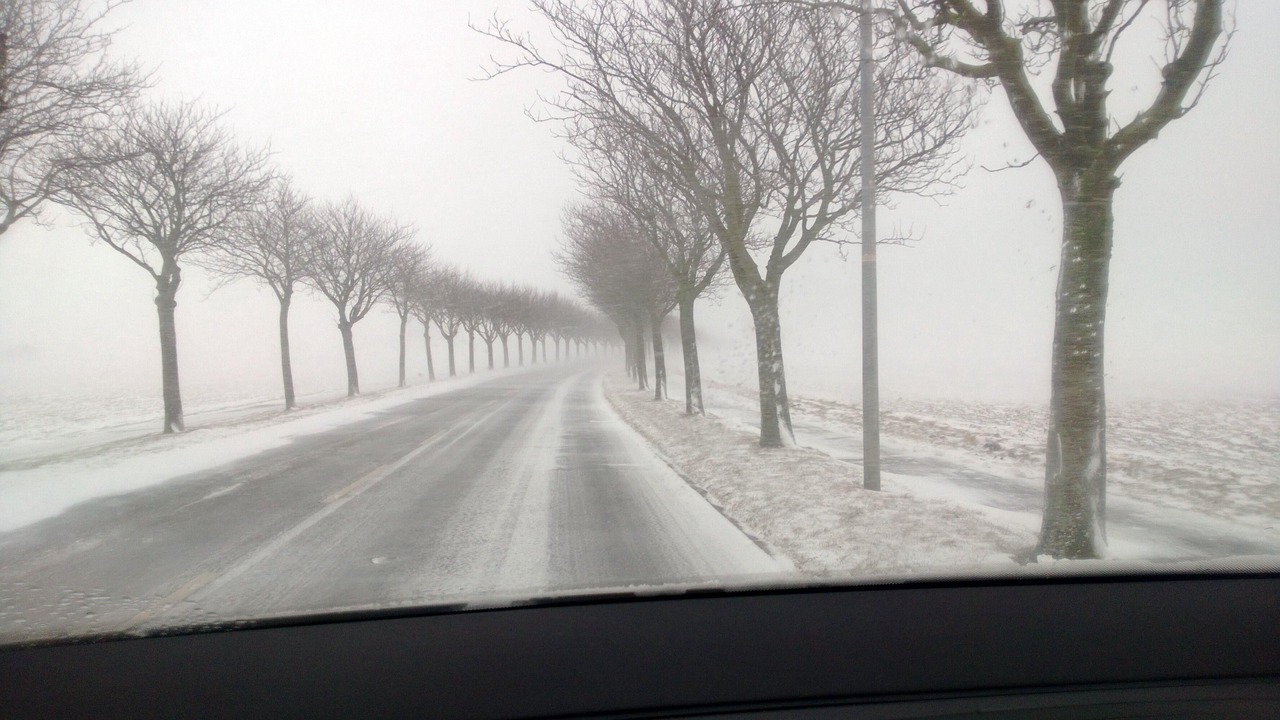 Photo of Others in Fehmarn