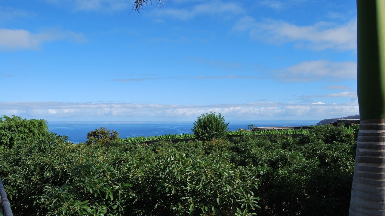 Photo of Others in Las Cuevas
