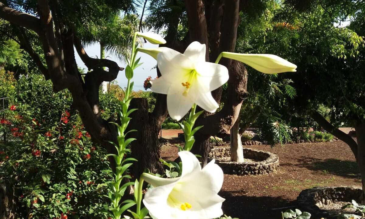 Photo of Outdoor in Las Cuevas