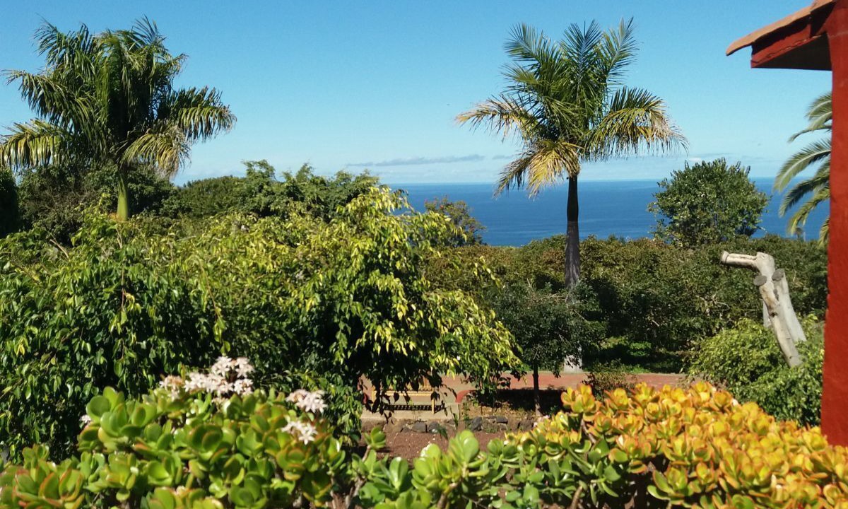 Photo of Outdoor in Las Cuevas