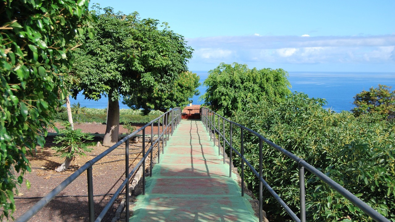 Photo of Others in Las Cuevas