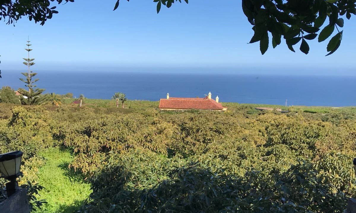 Photo of Outdoor in Las Cuevas