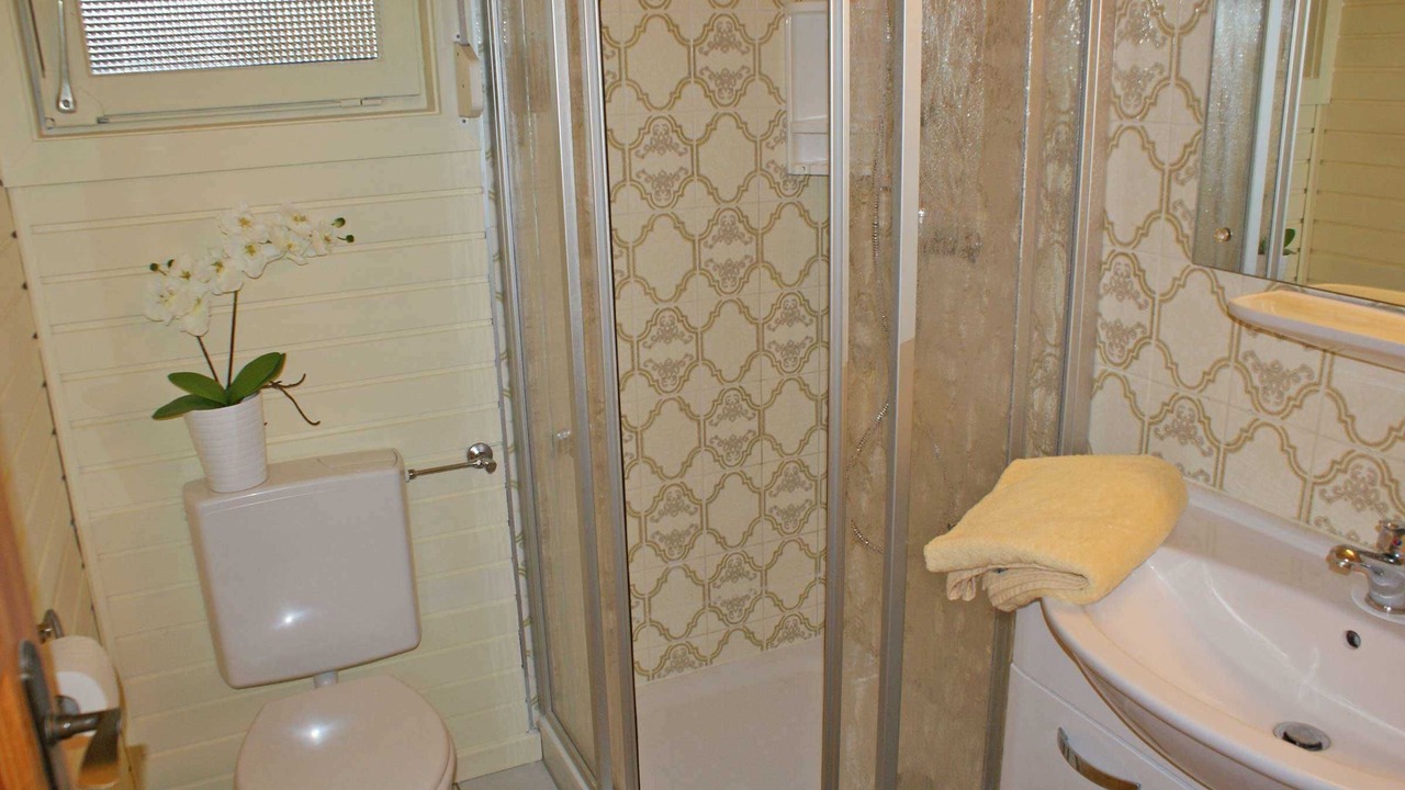 Photo of Bathroom in Damp