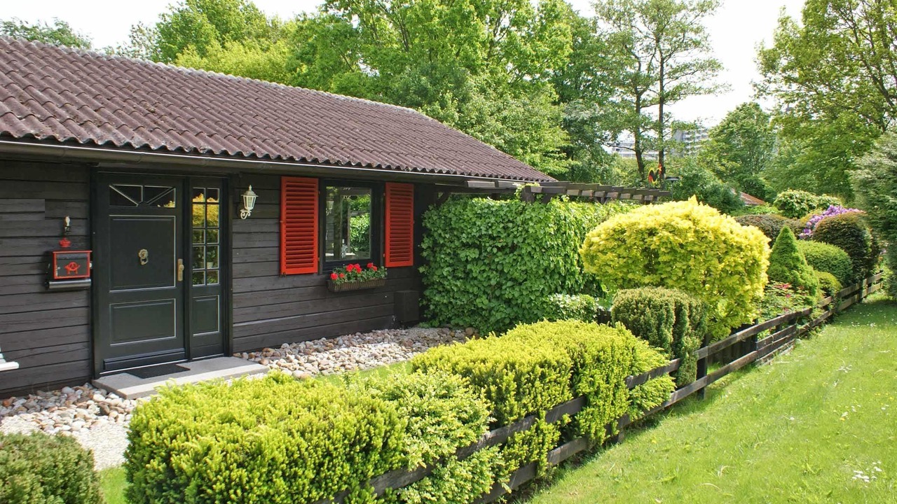 Photo of Outdoor in Damp