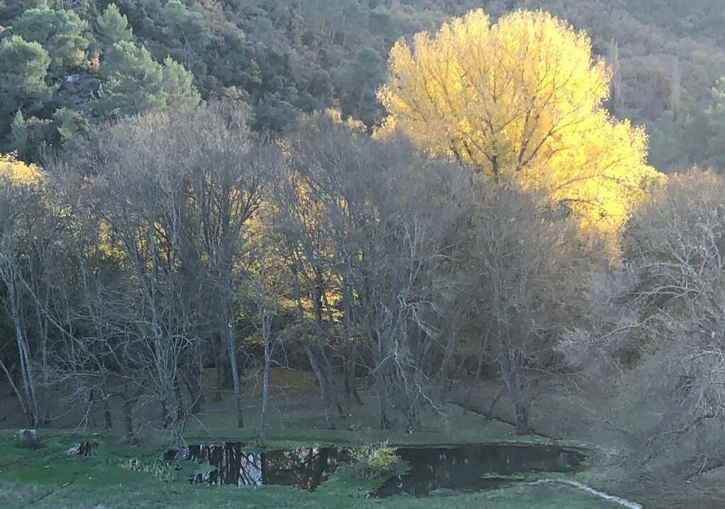 Photo of Outdoor in Vauvenargues