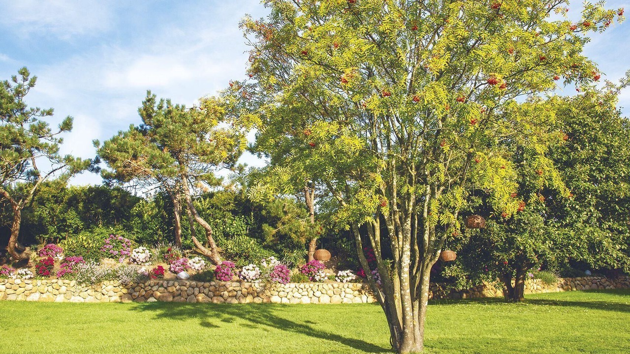 Photo of Outdoor in Kampen