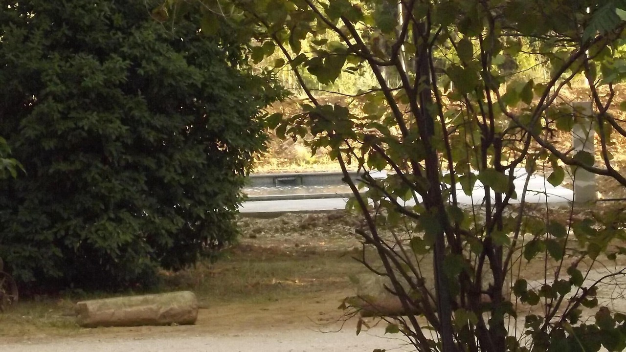 Photo of Others in Cavaillon