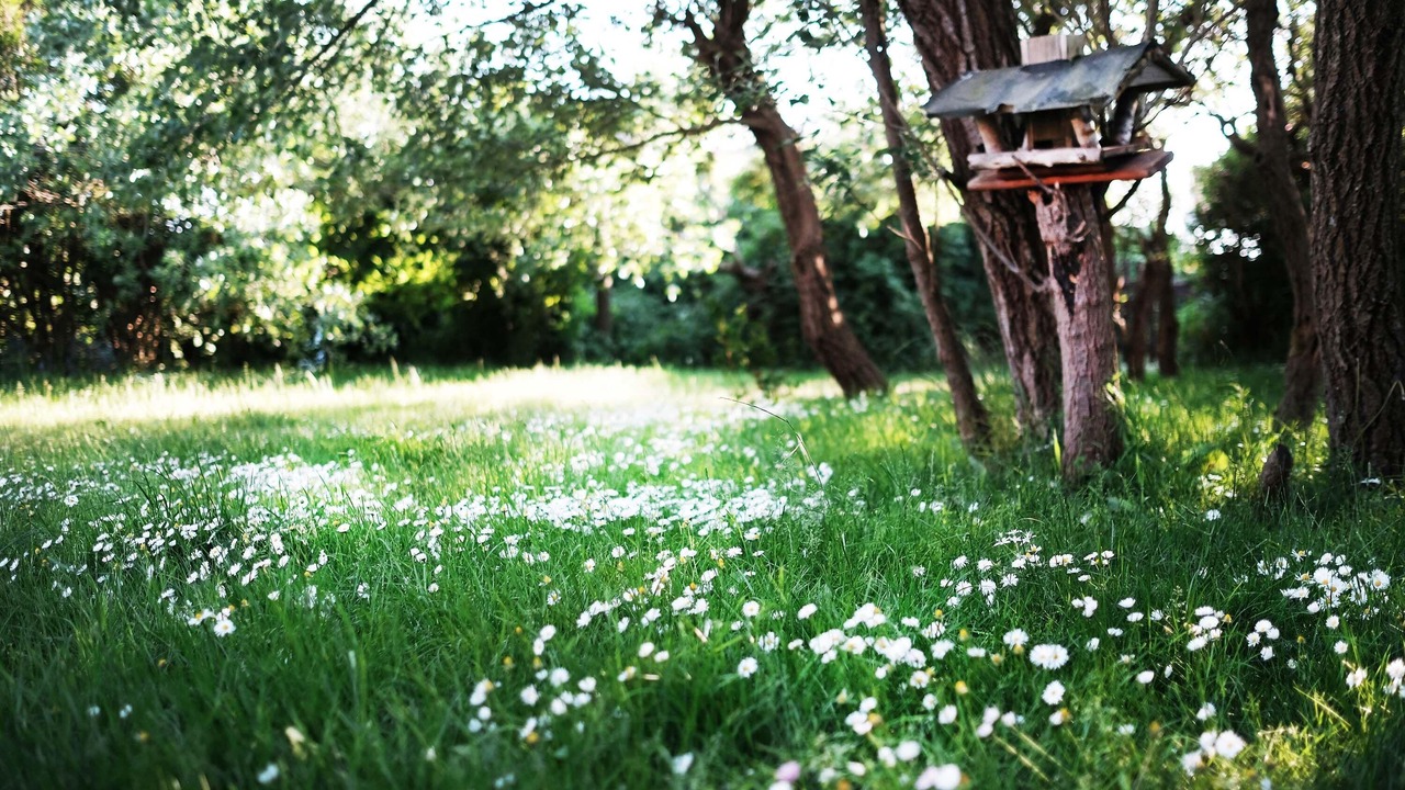 Photo of Outdoor in Hornum