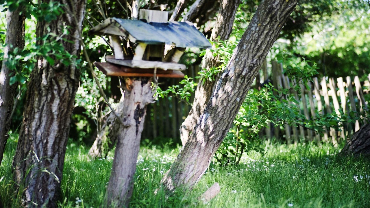 Photo of Outdoor in Hornum