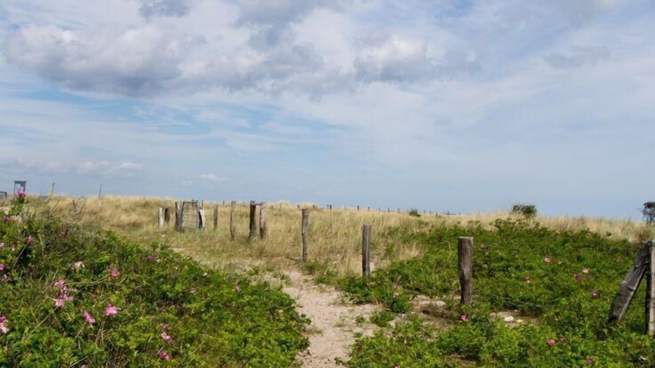 Photo of Outdoor in Fehmarn