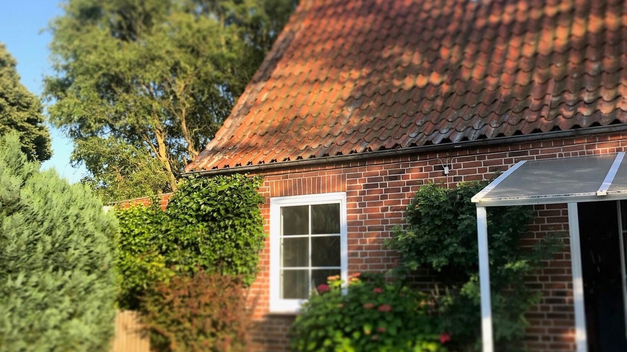 Photo of Outdoor in Fehmarn