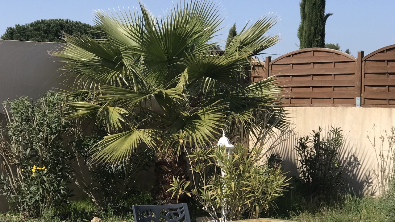 Photo of Outdoor in Arles
