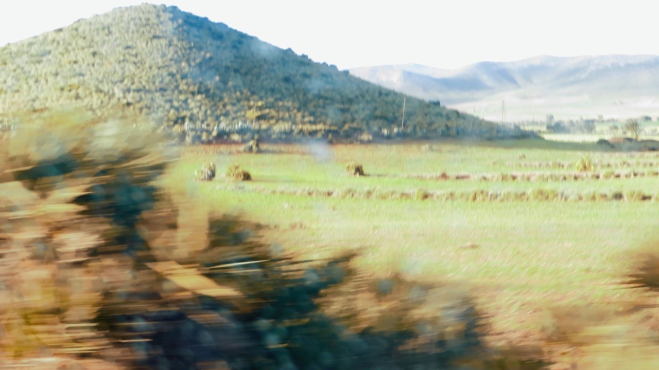 Photo of Outdoor in Los Albaricoques