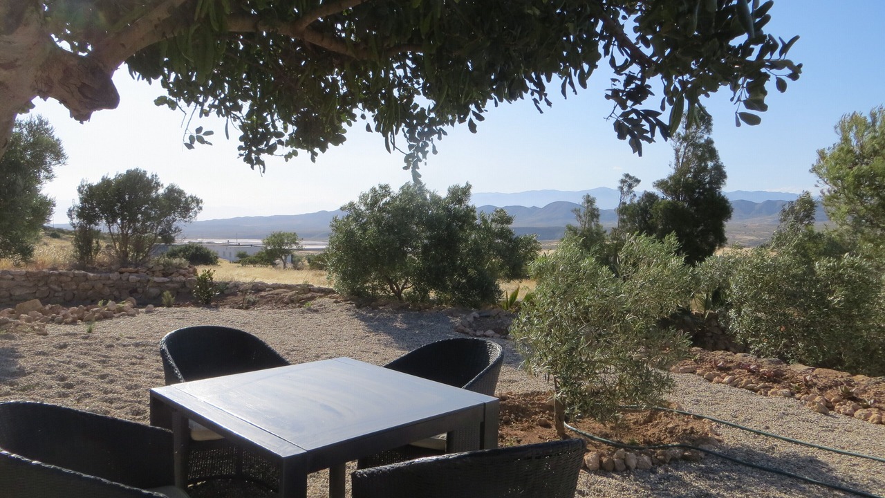 Photo of Outdoor in Los Albaricoques