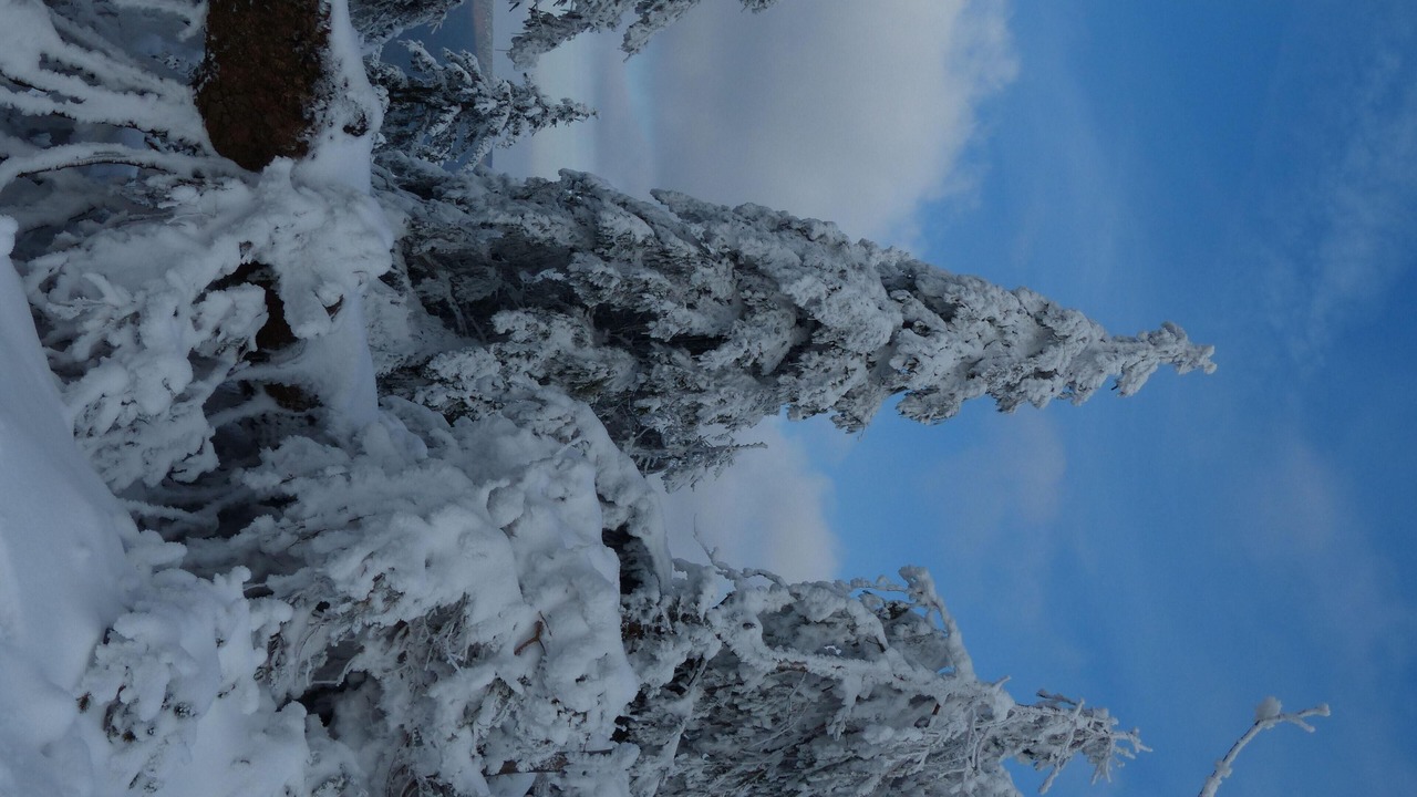 Photo of Others in Braunlage