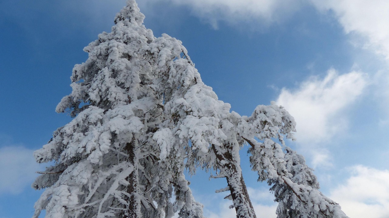 Photo of Others in Braunlage