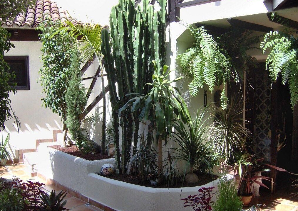 Photo of Outdoor in El Guincho