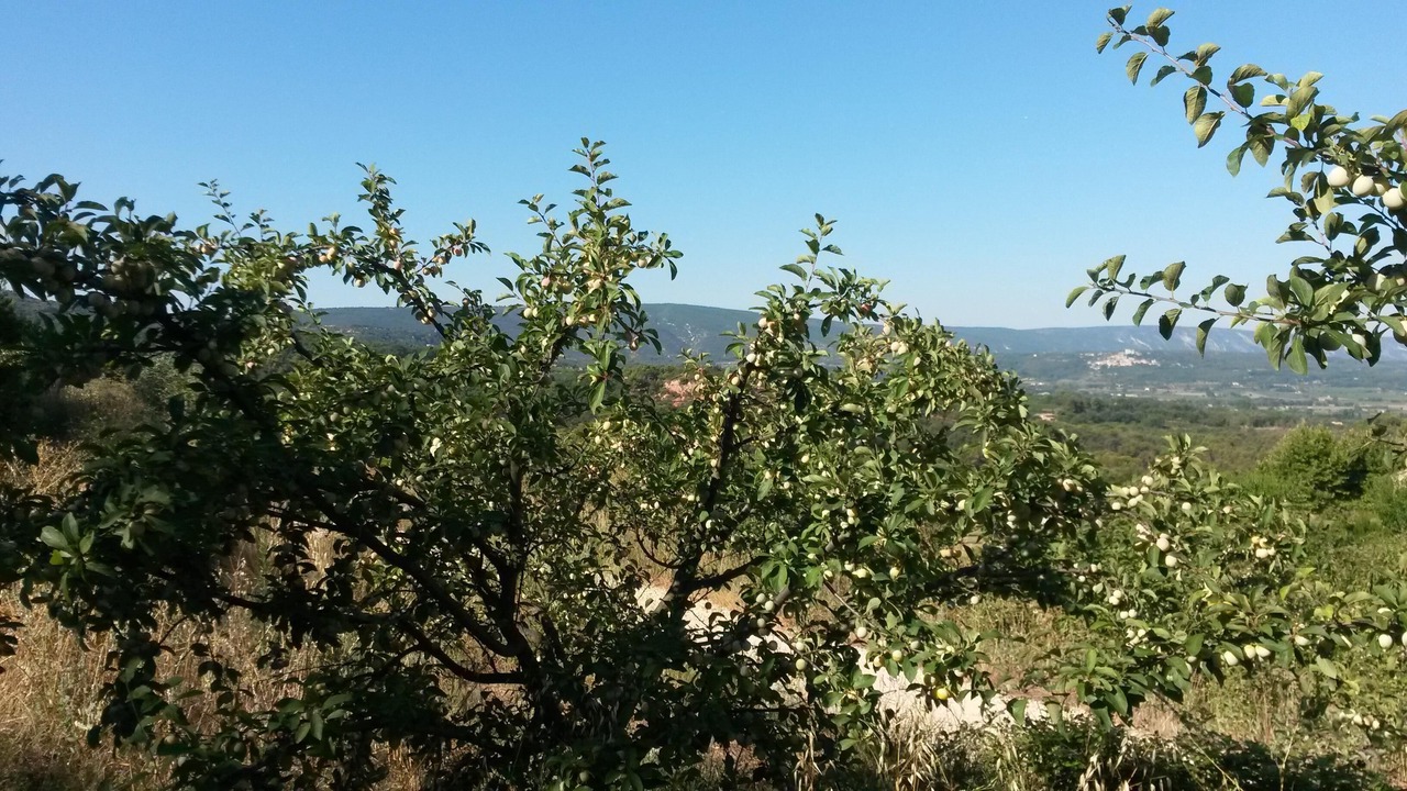 Photo of Outdoor in Bonnieux