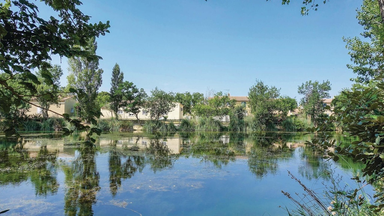 Photo of Others in Saint-Martin-de-Crau