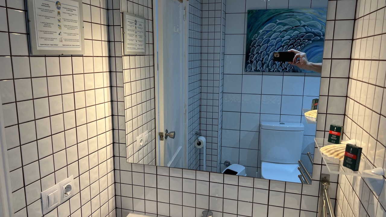 Photo of Bathroom in Los Lagos