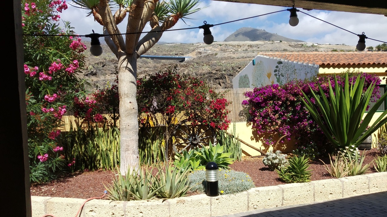 Photo of Outdoor in Guia de Isora