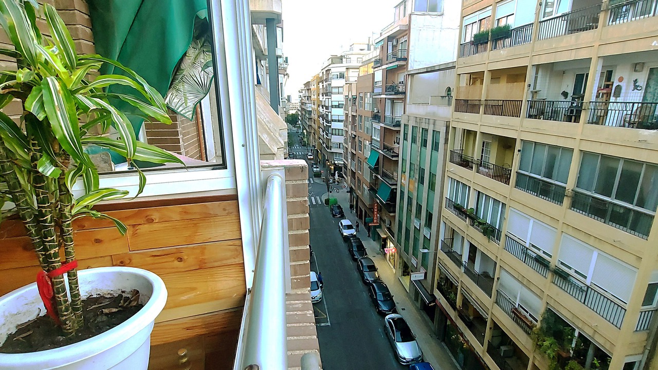 Photo of Others in Alicante