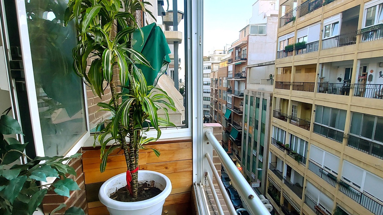 Photo of Outdoor in Alicante