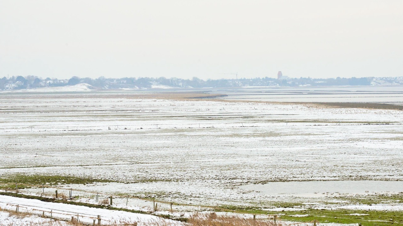 Photo of Others in Großmorsum