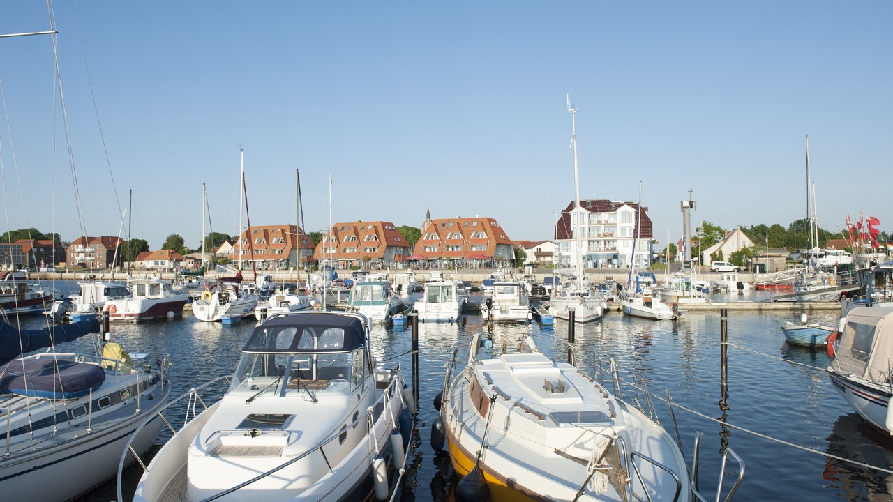 Photo of Others in Wiek