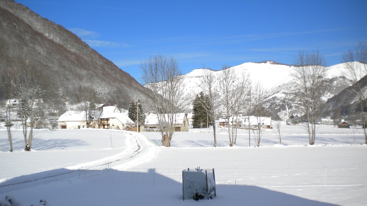 Photo of Others in Campan