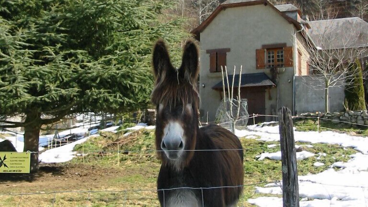 Photo of Outdoor in Campan