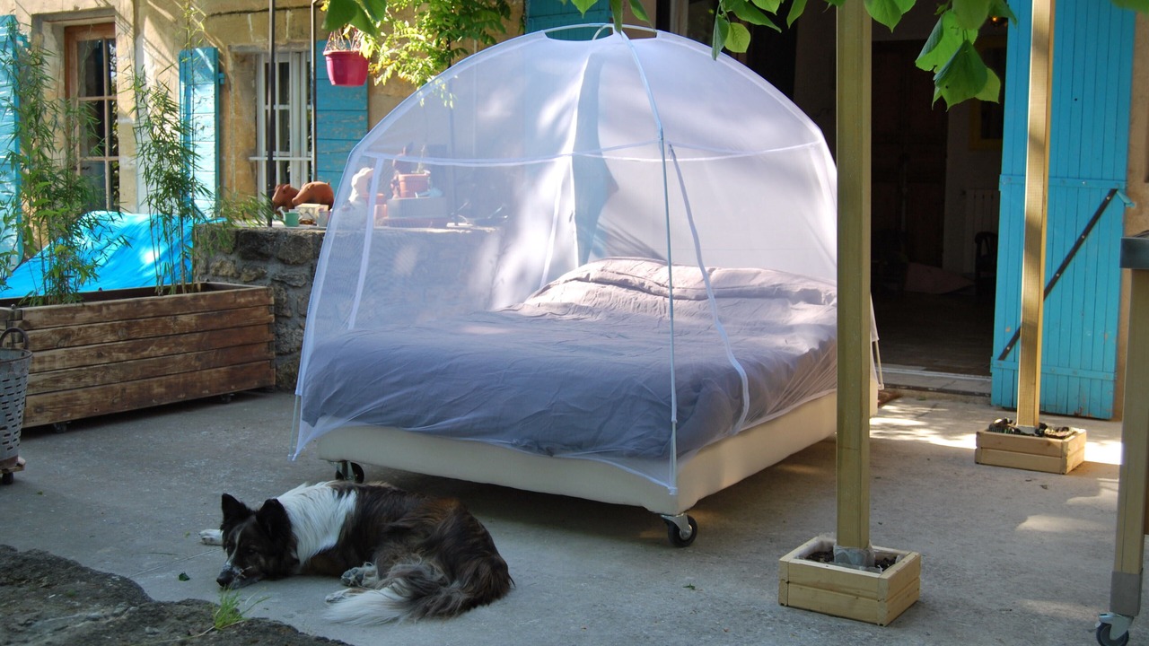 Photo of Outdoor in Salon-de-Provence