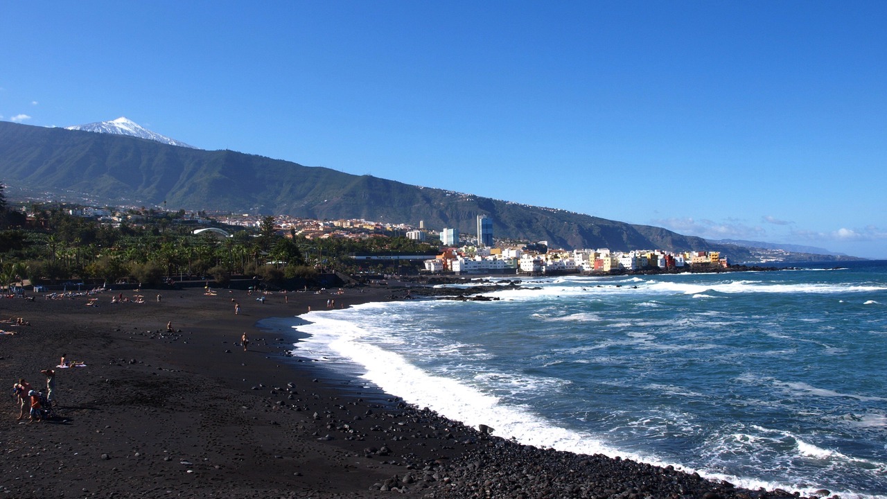 Photo of Others in La Guancha