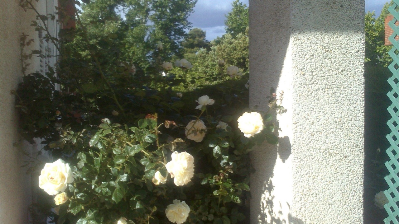 Photo of Outdoor in Castelldefels