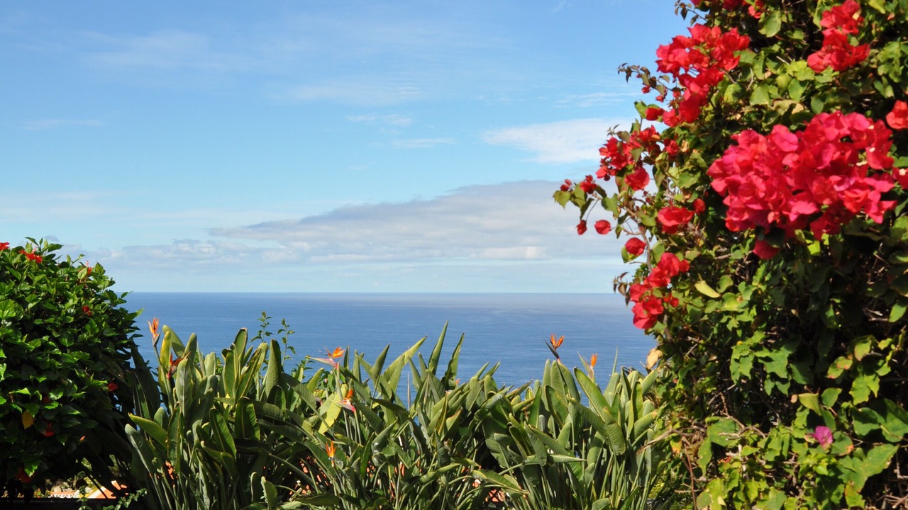 Photo of Outdoor in La Victoria de Acentejo