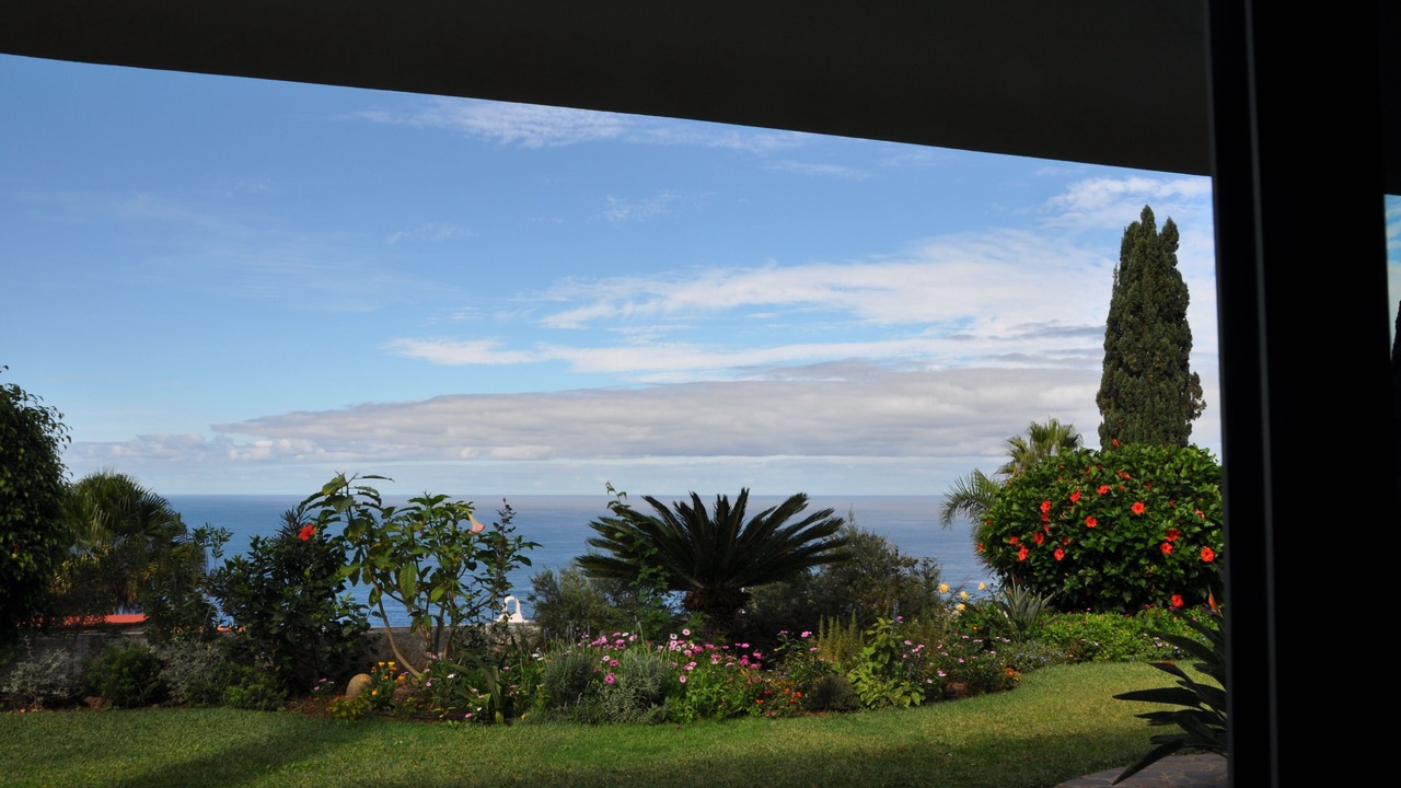 Photo of Others in La Victoria de Acentejo