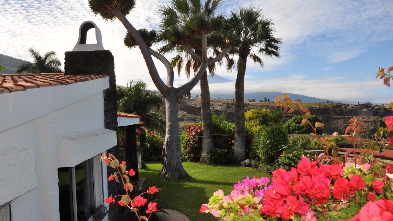 Photo of Outdoor in La Victoria de Acentejo