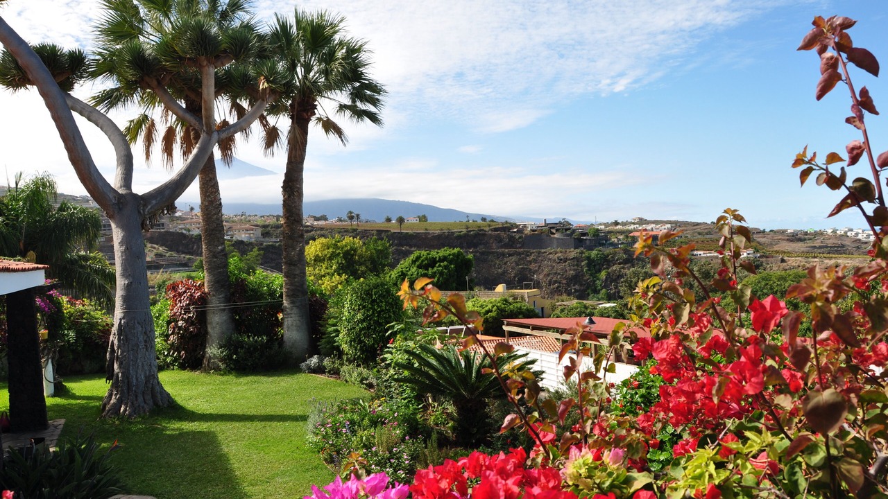 Photo of Outdoor in La Victoria de Acentejo