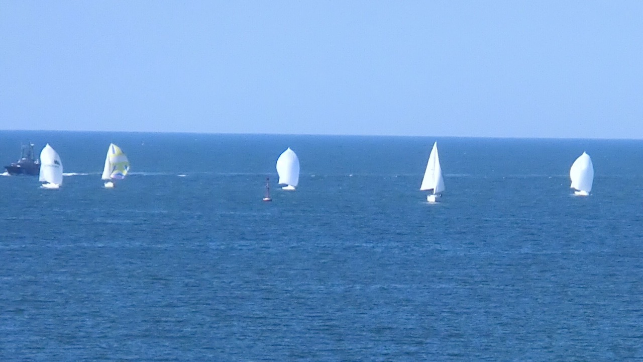 Photo of Others in Algorta