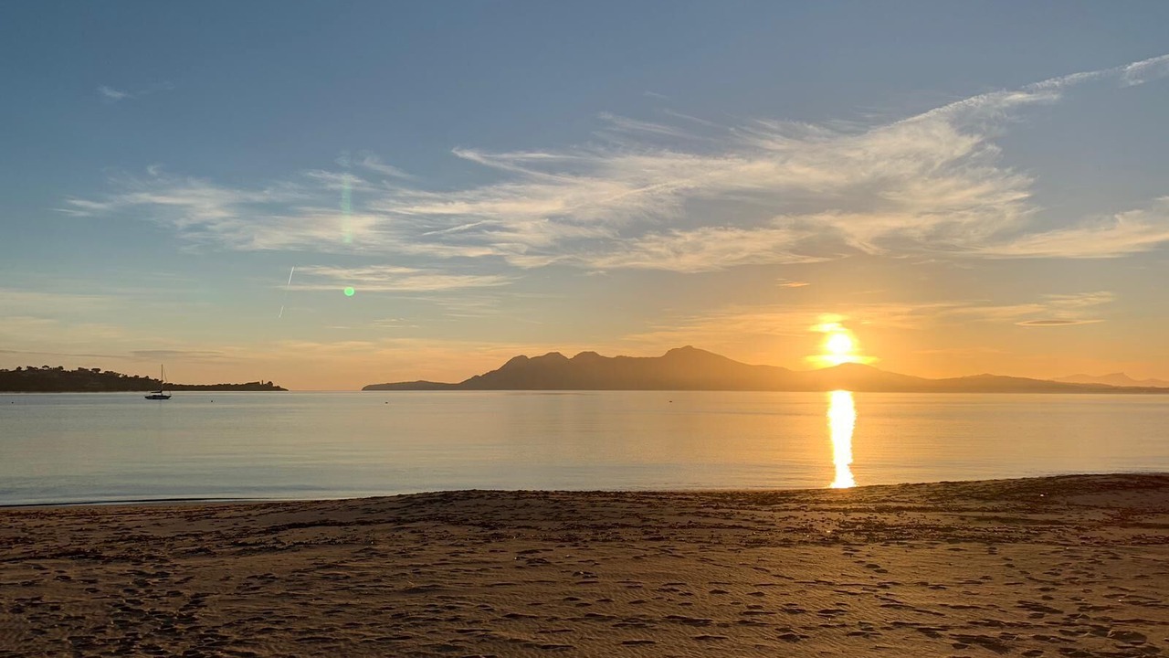 Photo of Others in Puerto de Pollensa