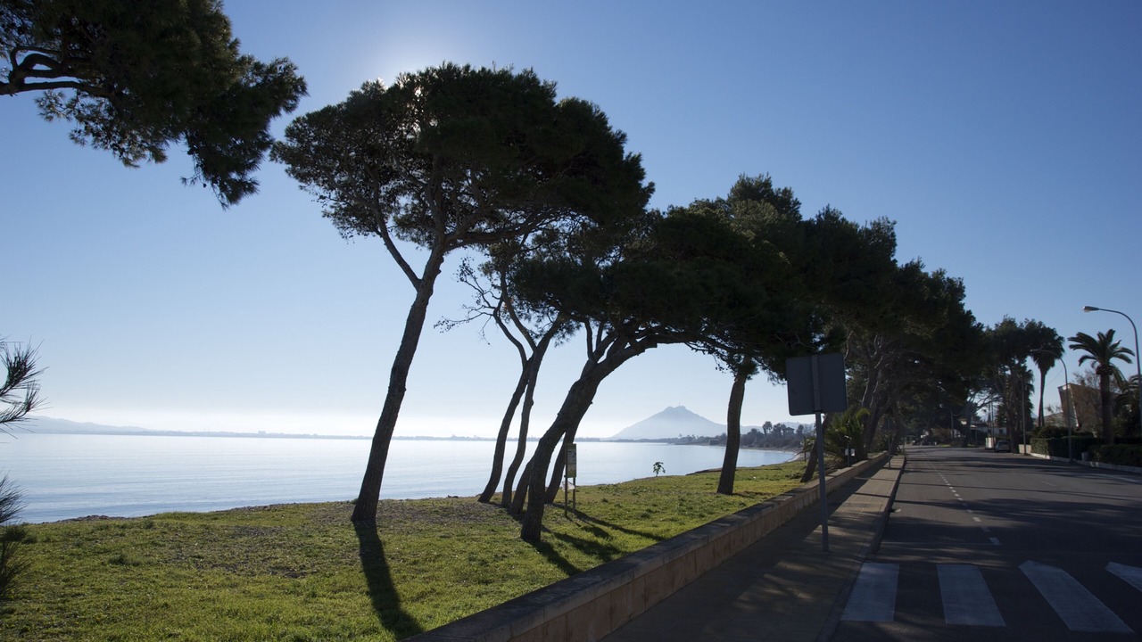 Photo of Others in Puerto de Pollensa