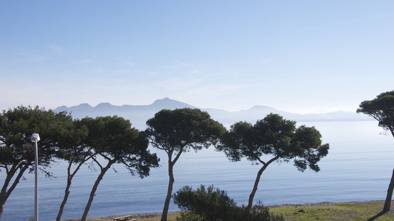 Photo of Others in Puerto de Pollensa