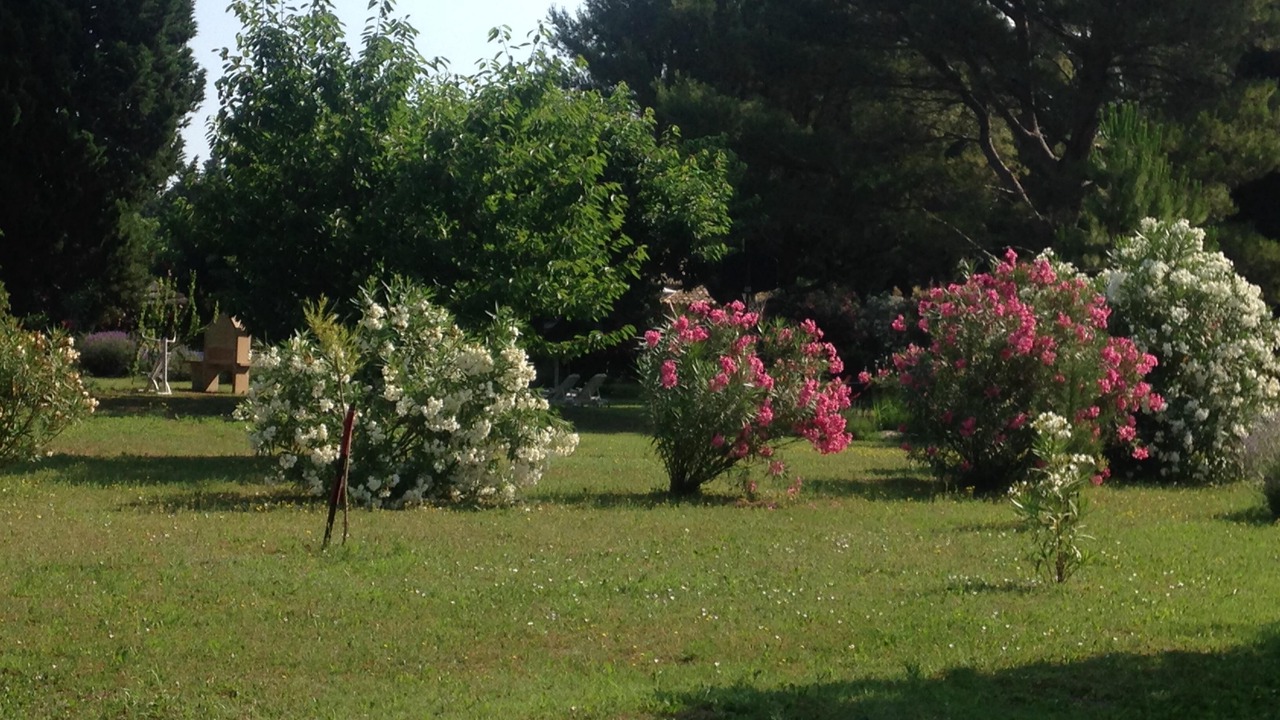 Photo of Outdoor in Saint-Saturnin-les-Avignon